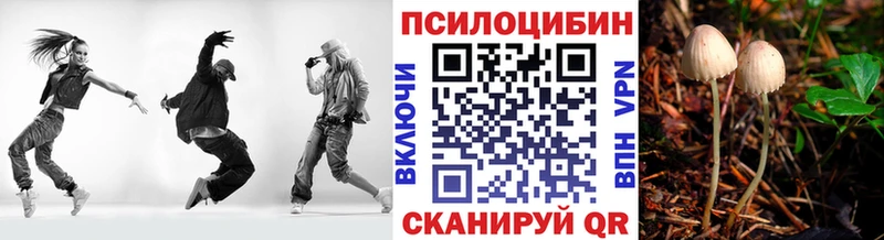 Галлюциногенные грибы ЛСД  магазин  наркотиков  Ужур 